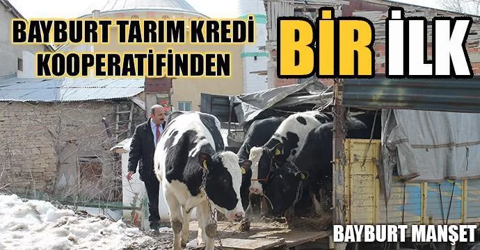 Tarım kredi kooperatifinden bir ilk