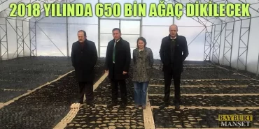 2018 Yılında Bayburt'ta 650 Bin Ağaç Dikilecek