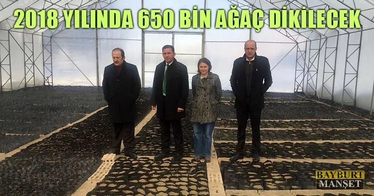 2018 Yılında Bayburt'ta 650 Bin Ağaç Dikilecek