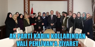 Ak Parti Kadın Kollarından Vali Pehlivan'a Ziyaret