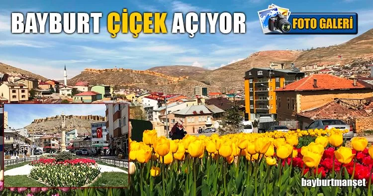 Bayburt Çiçek Açıyor