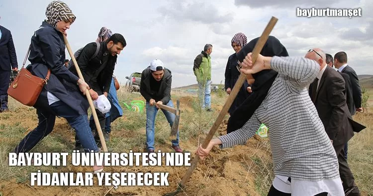 Bayburt Üniversitesi’nde Fidanlar Yeşerecek