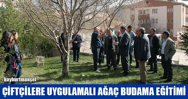 Çiftçilere Uygulamalı Ağaç Budama Eğitimi