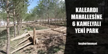 Kaleardı Mahallesine 6 Kamelyalı Yeni Park