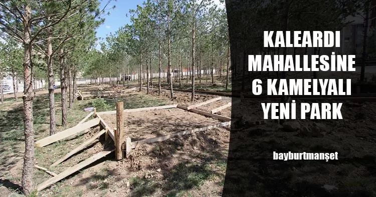 Kaleardı Mahallesine 6 Kamelyalı Yeni Park