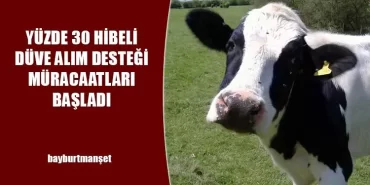 Yüzde 30 Hibeli Düve Alım Desteği Müracaatları Başladı