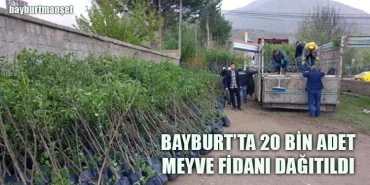 Bayburt’ta 20 Bin Adet Meyve Fidanı Dağıtıldı