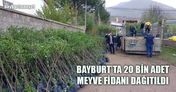 Bayburt’ta 20 Bin Adet Meyve Fidanı Dağıtıldı