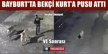 Bayburt’ta Bekçi Kurt’a Pusu Attı