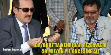 Bayburt’ta Kehribar Rezervleri 50 Milyon Yıl Öncesine Ait