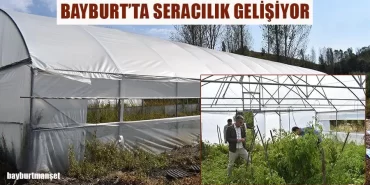 Bayburt'ta Seracılık Gelişiyor