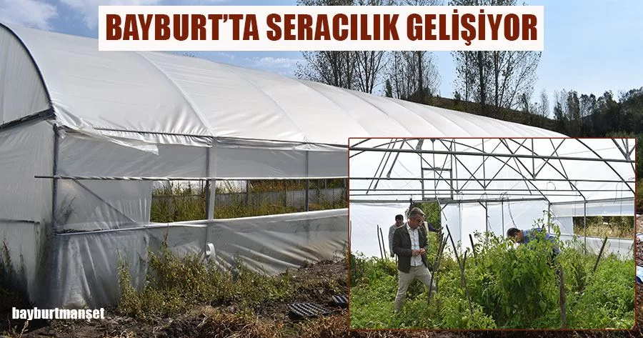 Bayburt'ta Seracılık Gelişiyor