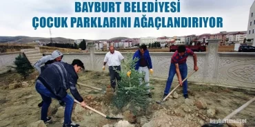 Bayburt Belediyesi Çocuk Parklarını Ağaçlandırıyor