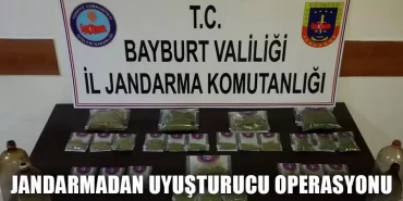 Bayburt Jandarma Ekiplerinden Uyuşturucu Operasyonu