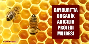 Bayburt’ta Organik Arıcılık Projesi Müjdesi
