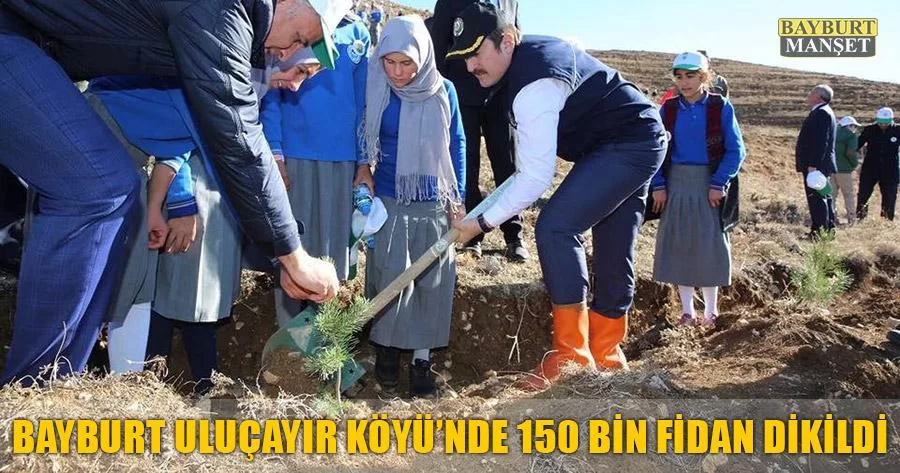 Bayburt Uluçayır Köyü’nde 150 Bin Fidan Dikildi