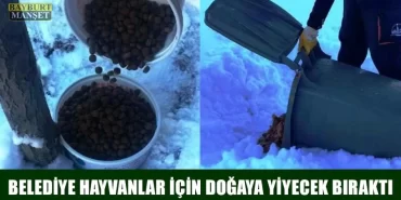 Belediye Hayvanlar İçin Doğaya Yiyecek Bıraktı