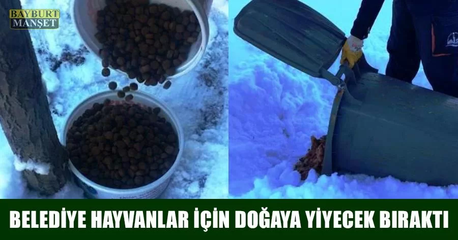 Belediye Hayvanlar İçin Doğaya Yiyecek Bıraktı