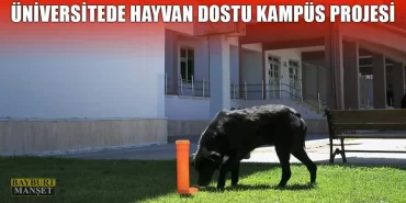 Üniversitede Hayvan Dostu Kampüs Projesi