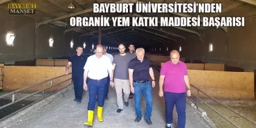 Bayburt Üniversitesi'nden Organik Yem Katkı Maddesi Başarısı