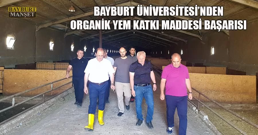 Bayburt Üniversitesi'nden Organik Yem Katkı Maddesi Başarısı