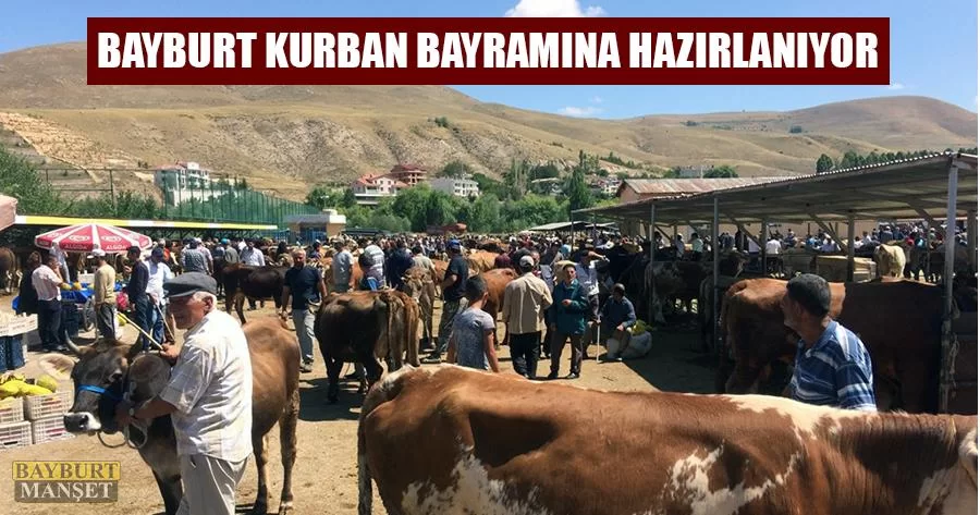 Bayburt Kurban Bayramına Hazırlanıyor