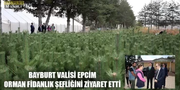 Bayburt Valisi Epcim Orman Fidanlık Şefliğini Ziyaret Etti