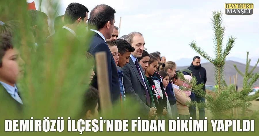 Demirözü İlçesi'nde Fidan Dikimi Yapıldı