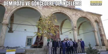 Demirözü ve Gökçedere’de İnceleme