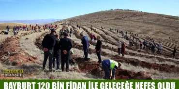 Bayburt 120 Bin Fidan İle Geleceğe Nefes Oldu