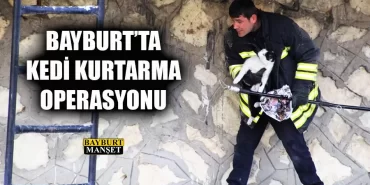 Bayburt'ta Kedi Kurtarma Operasyonu