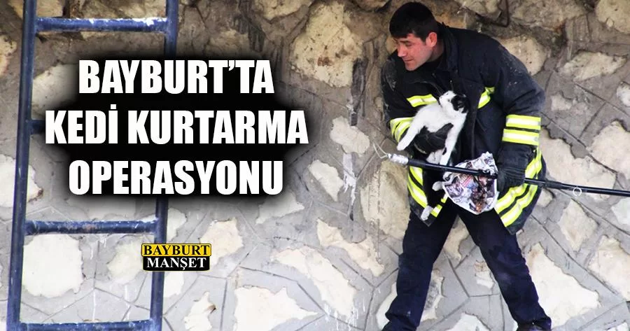 Bayburt'ta Kedi Kurtarma Operasyonu