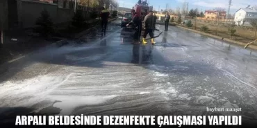 Arpalı Beldesinde Dezenfekte Çalışması Yapıldı