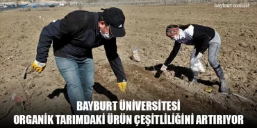 Bayburt Üniversitesi Organik Tarımdaki Ürün Çeşitliliğini Artırıyor