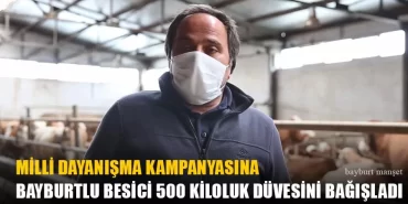Bayburtlu Besici 500 Kiloluk Düvesini Bağışladı