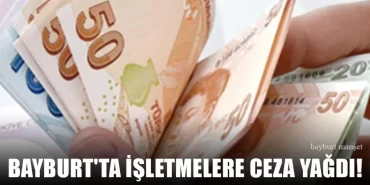 Bayburt'ta İşletmelere Ceza Yağdı!