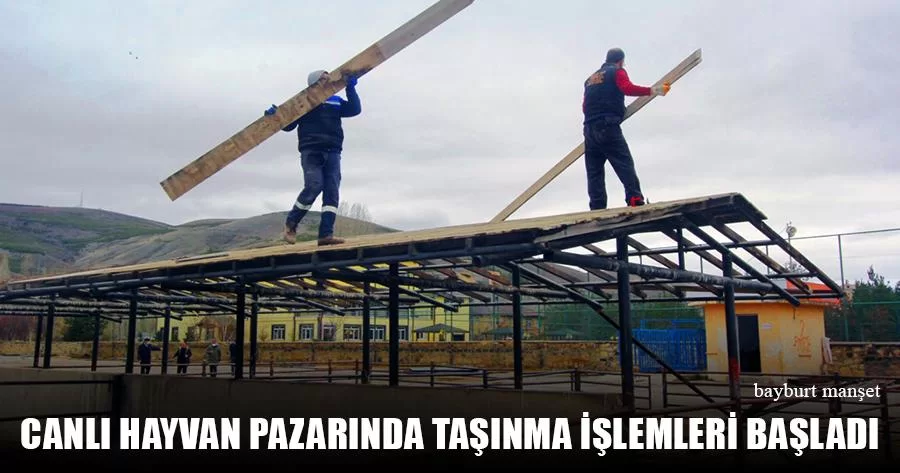 Canlı Hayvan Pazarında Taşınma İşlemleri Başladı