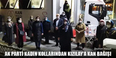 AK Parti Kadın Kollarından Kızılay'a Kan Bağışı