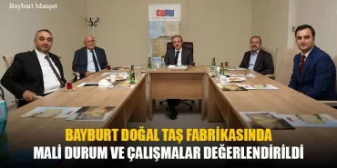 Bayburt Doğal Taş Fabrikasında Mali Durum Değerlendirmesi