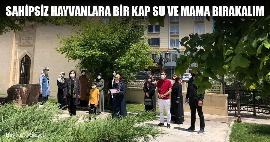 Sahipsiz Hayvanlara Bir Kap Su Ve Mama Bırakalım