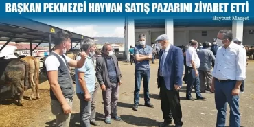 Başkan Hükmü Pekmezci Hayvan Satış Pazarını Ziyaret Etti