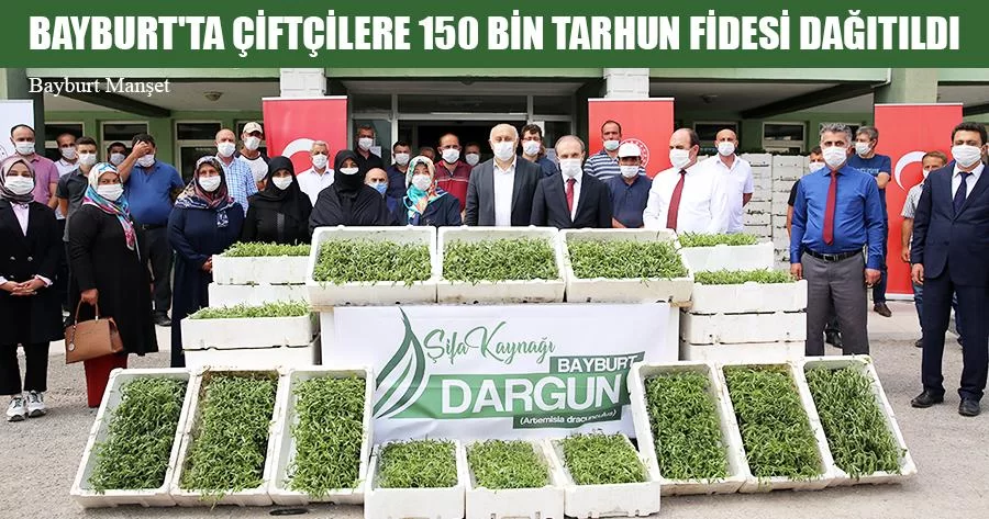 Bayburt'ta Çiftçilere 150 Bin Tarhun Fidesi Dağıtıldı