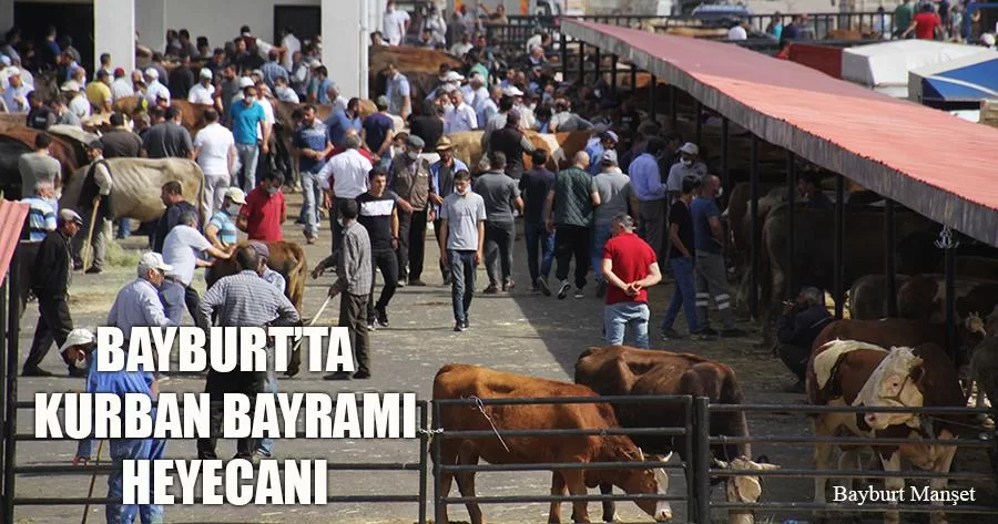 Bayburt’ta Kurban Bayramı Heyecanı