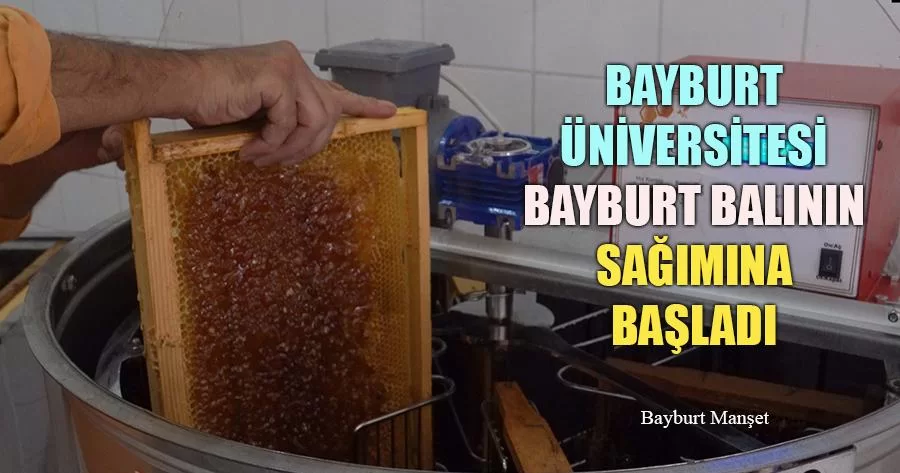 Bayburt Üniversitesi Bayburt Balının Sağımına Başladı