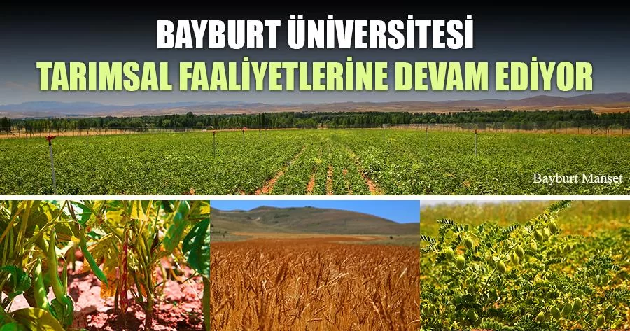 Bayburt Üniversitesi Tarımsal Faaliyetlerine Devam Ediyor