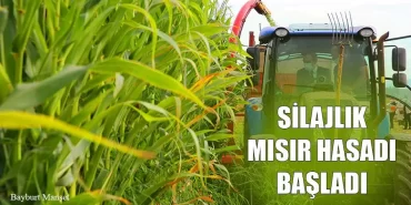 Silajlık Mısır Hasadı Başladı