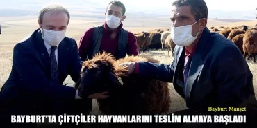 Bayburt’ta Çiftçiler Hayvanlarını Teslim Almaya Başladı