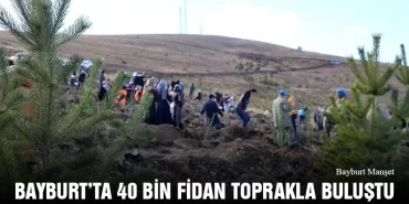 Bayburt’ta 40 Bin Fidan Toprakla Buluştu