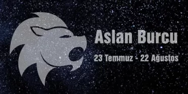 Aslan Burcu