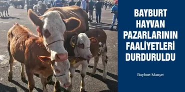 Bayburt Hayvan Pazarlarının Faaliyetleri Durduruldu